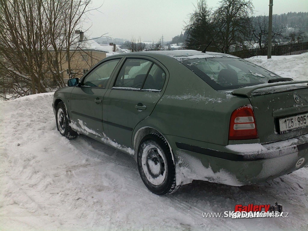 Octa na sněhu