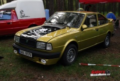 16-skoda-tuning-doksy-030.jpg