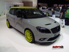 essen-motor-show-2010-2-316.jpg