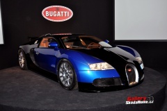 bugatti-ve-francouzskem-mulhause-145.jpg