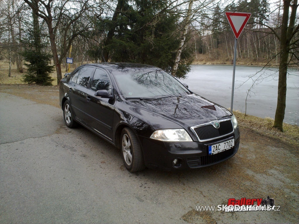 Škoda octavia II 2.0Tdi 103Kw