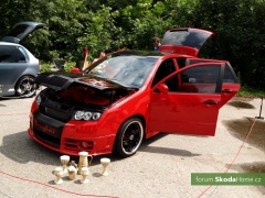 viii-tuning-auto-show-049.jpg