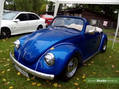 autohifi-a-tuning_sraz-krivonoska-2011-071.jpg