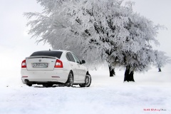 SKODA Octavia white Ru 007