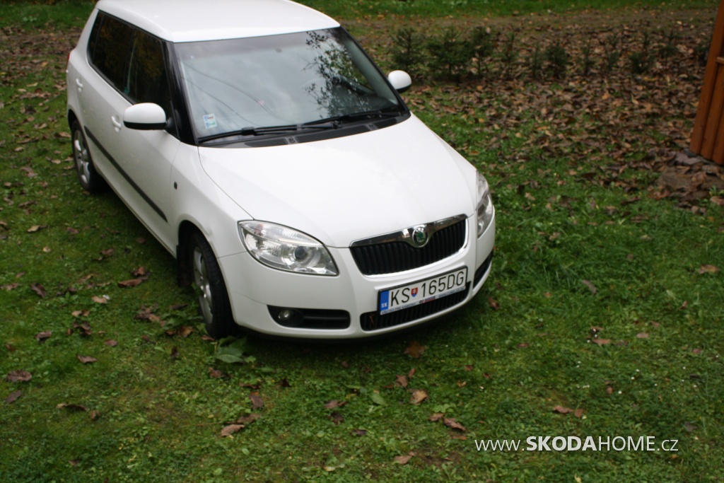 Skoda Fabia II