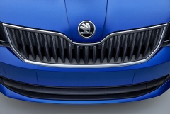 0005 003 New SKODA Fabia Grill