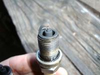 post-77569-0-18526000-1429649312_thumb.j