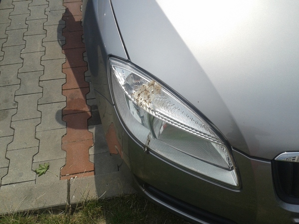 20160724_125827.jpg