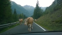 20160828_064150_Alpy-Ankogel.jpg