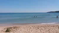 20170729_113140.thumb.jpg.51a0f421bd269eacf88ec51e60407be9.jpg