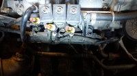 20170913_172632.thumb.jpg.e5d49b808ec68afca1bdaa9d6faad315.jpg