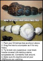 How_To_Utilize_Your_Christmas_TreE.thumb.jpg.9c0c8e85442373f32c4e89141883b5e8.jpg