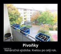 pivonky.thumb.jpg.a4db5d6f724337eccb569cd219df2587.jpg