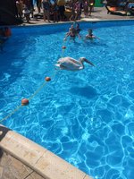 IMG_0966.JPG