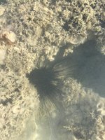 IMG_1054.JPG