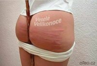 velikonoce.thumb.JPG.25d98e3d356cc4bb804c58f50615c58a.JPG