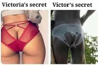 Victors_secret.thumb.jpg.c05a19adc067b49099c7bbc0d286db8c.jpg