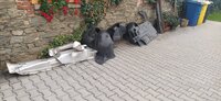 IMG_20210806_184654.jpg