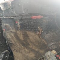 IMG_20210925_101942.jpg
