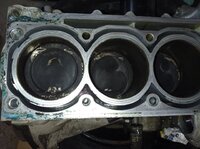 IMG_20220130_133821.jpg