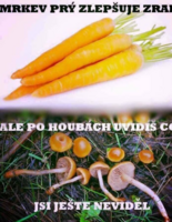 image.thumb.png.bdf4dac2c7e8ffb61dd5583c103cacb7.png