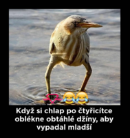 image.thumb.png.f803c97eb1d03f97c8d1254d38942485.png