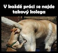 vtip (25).jpg