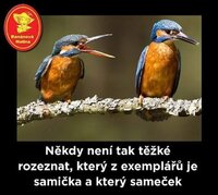 vtip (30).jpg