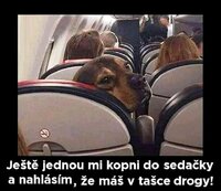 vtip (19).jpg