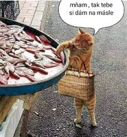 vtip (27).jpg