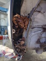 IMG-20250611-WA0003.jpg