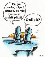 8f26b32d-f946-42e7-8b62-ceaece240b93.jpeg