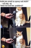 image.thumb.jpeg.5be7ffb62f806f7c0e977fc82b7da8ec.jpeg
