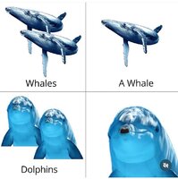 image.thumb.jpeg.6bf0560938f0ccfe7d0943817f5257df.jpeg