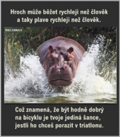 image.thumb.png.011fa1b7bd8eee5d12f0c4430f381148.png