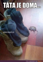 image.thumb.png.086657c89712ef78d6bf6e2e7e6d467c.png