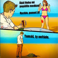 image.thumb.png.19db6c750227db43cc03cfa6d24e0788.png