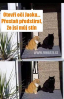 image.thumb.png.42fa934ebd901f385d84eeaf496e7dcd.png