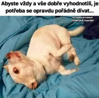 image.thumb.png.63fce36a6f6e35a0ad57a2383660cc74.png