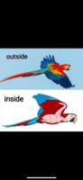 image.thumb.png.6a9fc322e17d6443bd88f4a92c5ed842.png