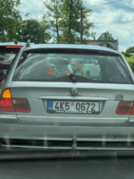 image.thumb.png.6fed7a5b35e463eb1d7967da666921c6.png