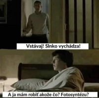 image.thumb.png.8dd54aedf5ed56ee3f80c338ef7ba4f2.png