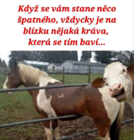 image.thumb.png.9f140b4eddadeaa2a93e2841fd89bf00.png