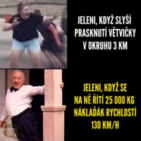 image.thumb.png.9f312ee7a0f0ed98c92ff6a6b814adb2.png