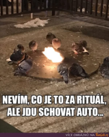 image.thumb.png.b28bf14295687efac37ef893684dbb1c.png