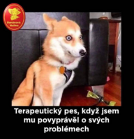 image.thumb.png.cc0a23c663bb83e7c19fb79cb9e6eac8.png