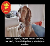 image.thumb.png.d02c1aee1457cca1b7c74e1a3af4023b.png