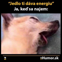 image.thumb.png.e324132dc135f4282755829ffc3824bd.png