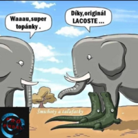 image.thumb.png.ed52160f09c88d3389b1b20df3cd8748.png