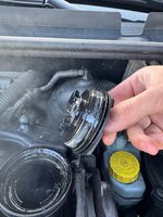 IMG_9529.jpeg